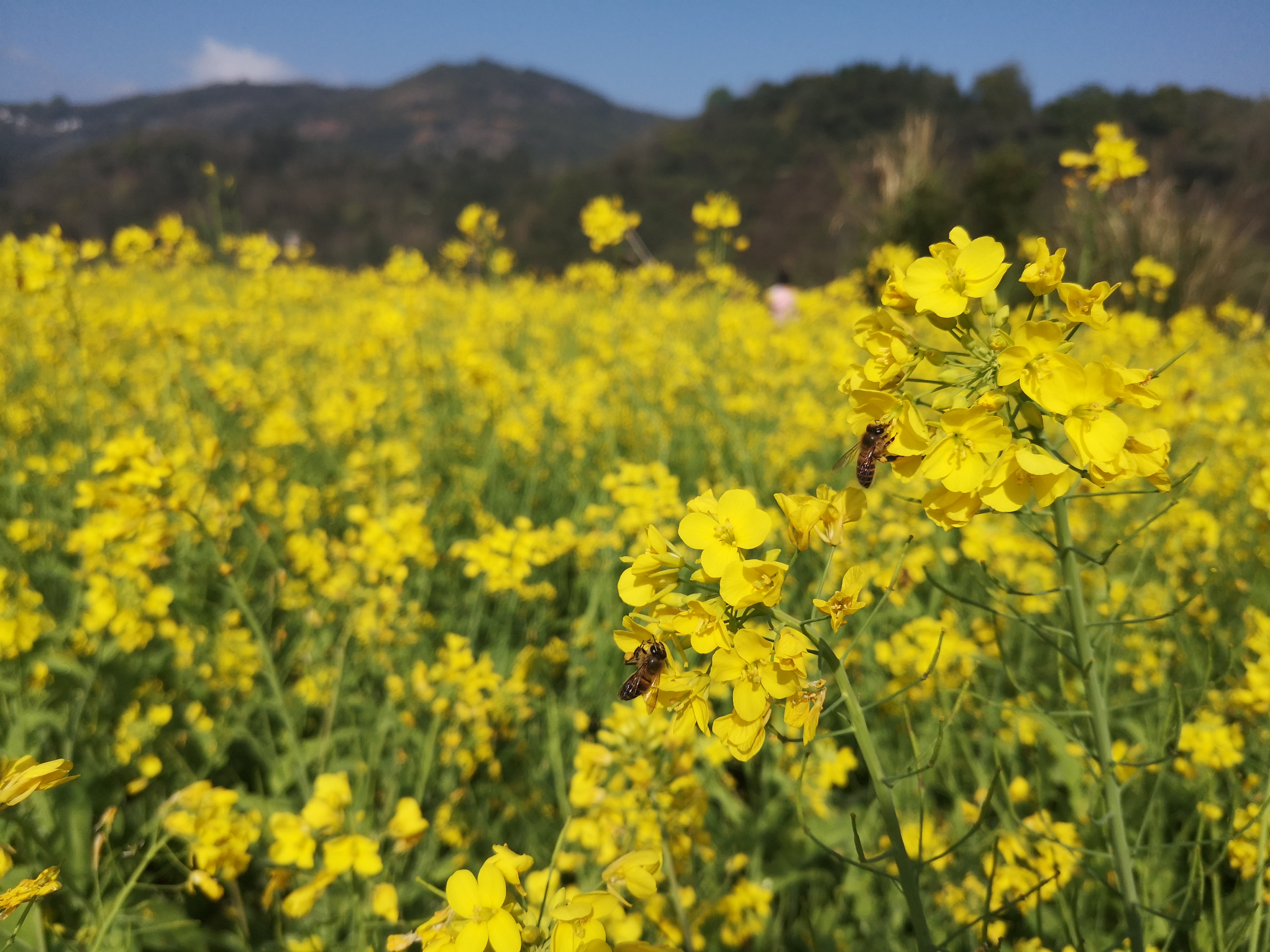 野炊腐败一日活动_周 边游_福州晴天户外 晴天户外官方网站 - 感受大